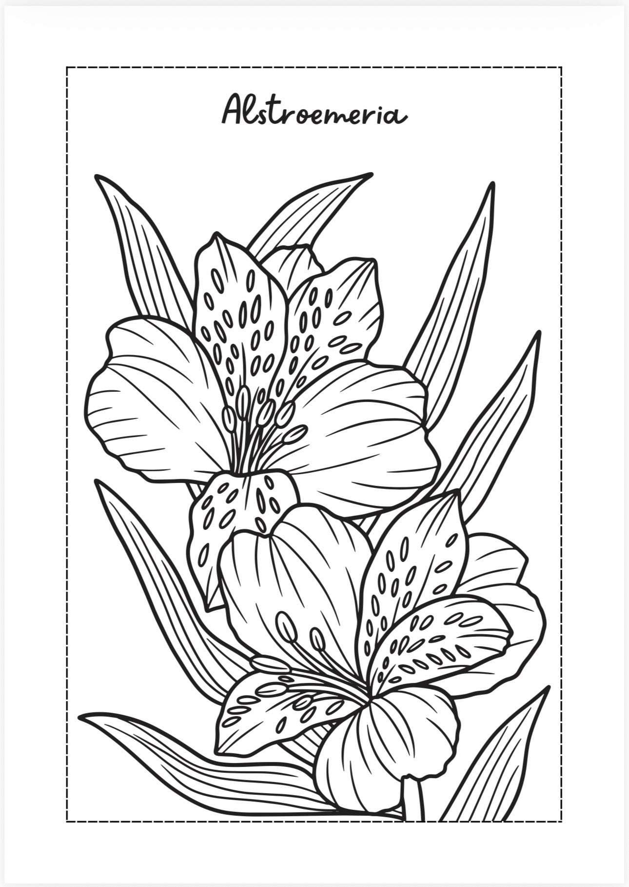 Blooming Flowers A-Z Coloring Book 🌺